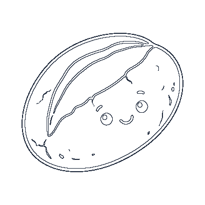 Pão Francês - Line-Art