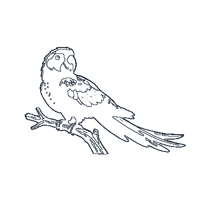 Arara Vermelha e Azul Exuberante - Line-Art