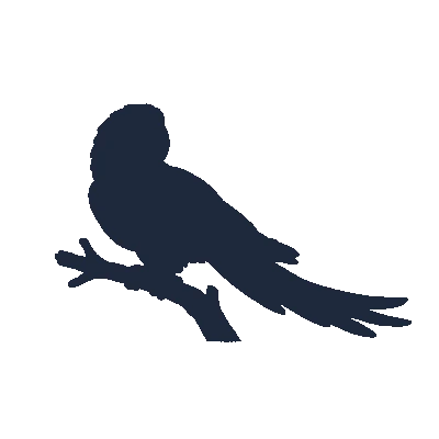 Arara Vermelha e Azul Exuberante - Silhueta