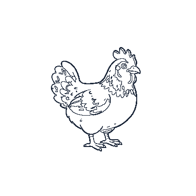 Galinha com Crista Vermelha - Line-Art