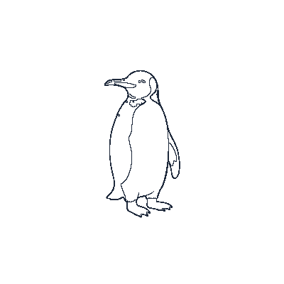 Pinguim-Rei com Peito Dourado - Line-Art