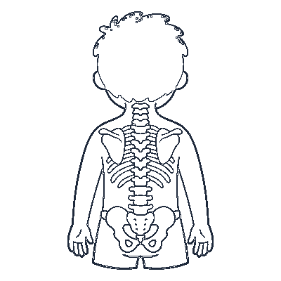 Costas e Coluna - Line-Art