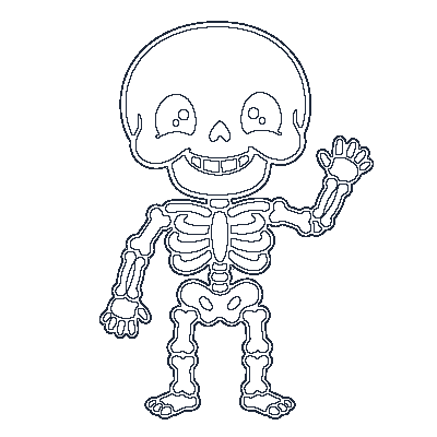 Estrutura dos Ossos / Esqueleto - Line-Art