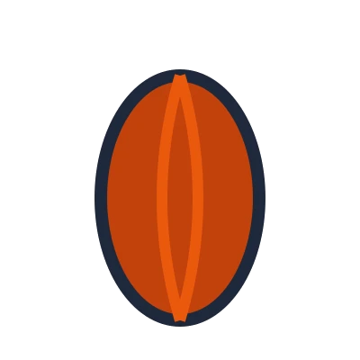 Cacau - Color