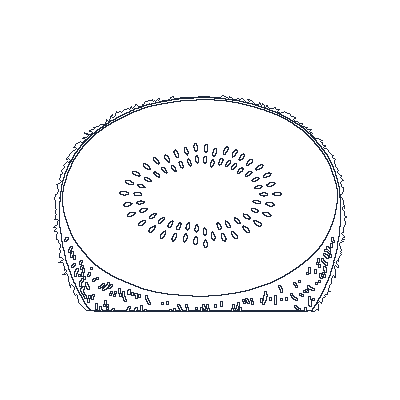 Kiwi Cortado - Line-Art