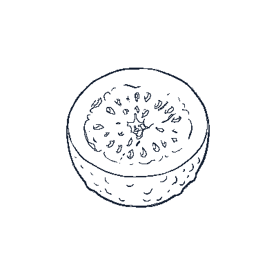 Maracujá Calmo - Line-Art