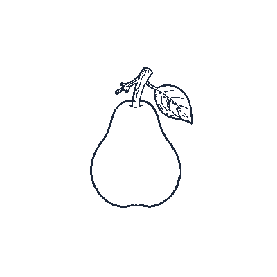 Pera Suculenta - Line-Art