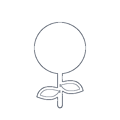 Flor de Rosa - Line-Art